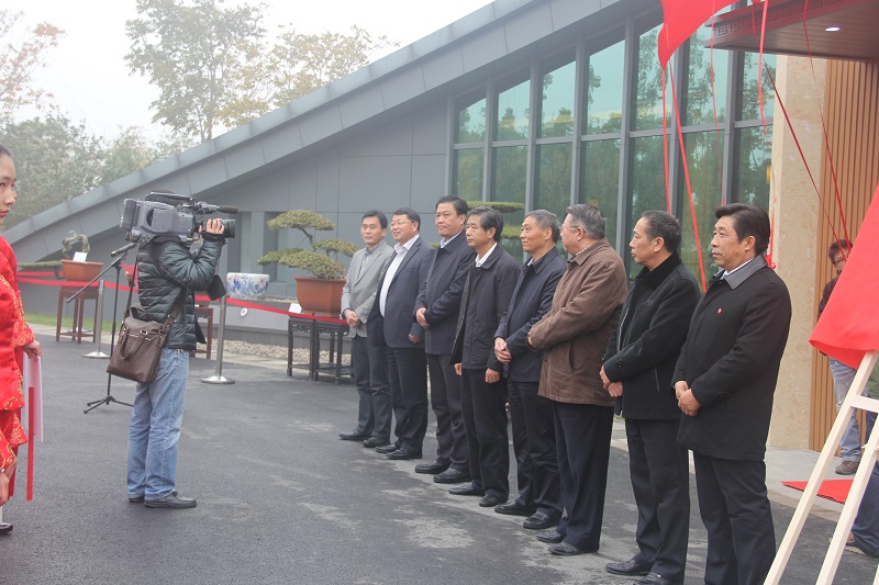 泰州市工艺美术协会开幕式